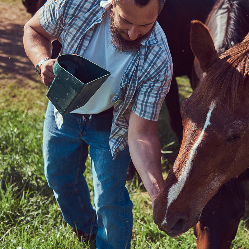 Feed Industry