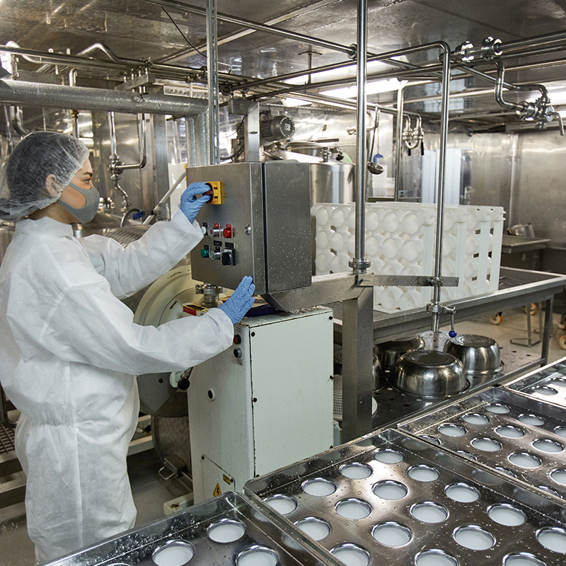 Food Processing