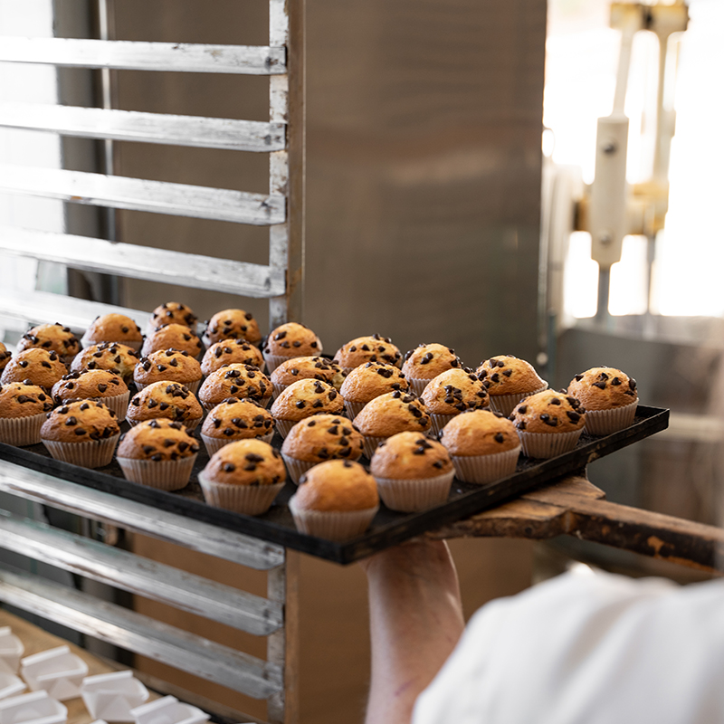 Food Processing