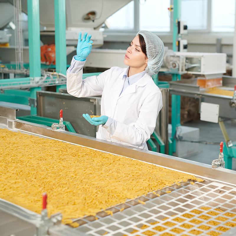 Food Processing Industry