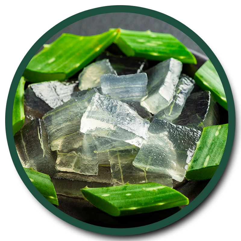 ALOE VERA PULP