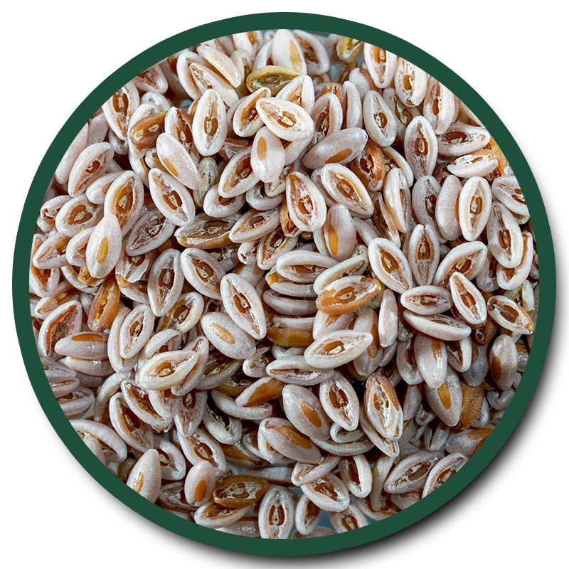 PSYLLIUM SEEDS