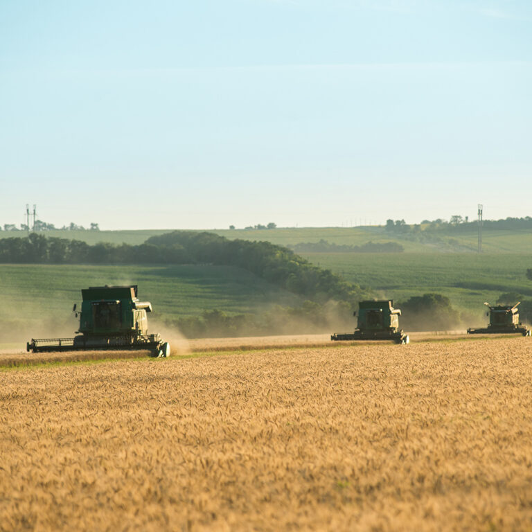 How to Import Agricultural Products from India: A Complete Guide for Global Buyers